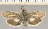  ( - yellow-47)  @11 [ ] Unspecified (default): All Rights Reserved  Unspecified Unspecified