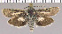  ( - yellow-48)  @11 [ ] Unspecified (default): All Rights Reserved  Unspecified Unspecified