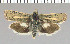  ( - yellow-50)  @11 [ ] Unspecified (default): All Rights Reserved  Unspecified Unspecified