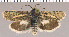  ( - yellow-51)  @11 [ ] Unspecified (default): All Rights Reserved  Unspecified Unspecified