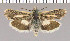  ( - yellow-52)  @13 [ ] Unspecified (default): All Rights Reserved  Unspecified Unspecified