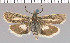  ( - yellow-53)  @13 [ ] Unspecified (default): All Rights Reserved  Unspecified Unspecified