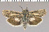  ( - yellow-54)  @13 [ ] Unspecified (default): All Rights Reserved  Unspecified Unspecified