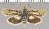  ( - yellow-56)  @13 [ ] Unspecified (default): All Rights Reserved  Unspecified Unspecified