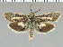  ( - yellow-57)  @11 [ ] Unspecified (default): All Rights Reserved  Unspecified Unspecified