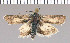  ( - yellow-61)  @11 [ ] Unspecified (default): All Rights Reserved  Unspecified Unspecified
