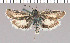  ( - yellow-62)  @11 [ ] Unspecified (default): All Rights Reserved  Unspecified Unspecified