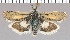  ( - yellow-63)  @11 [ ] Unspecified (default): All Rights Reserved  Unspecified Unspecified