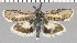  ( - yellow-64)  @11 [ ] Unspecified (default): All Rights Reserved  Unspecified Unspecified