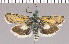  ( - yellow-65)  @11 [ ] Unspecified (default): All Rights Reserved  Unspecified Unspecified