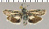  ( - yellow-66)  @11 [ ] Unspecified (default): All Rights Reserved  Unspecified Unspecified