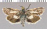  ( - yellow-67)  @11 [ ] Unspecified (default): All Rights Reserved  Unspecified Unspecified