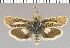  ( - yellow-68)  @11 [ ] Unspecified (default): All Rights Reserved  Unspecified Unspecified