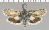  ( - yellow-70)  @11 [ ] Unspecified (default): All Rights Reserved  Unspecified Unspecified