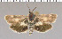  ( - yellow-77)  @11 [ ] Unspecified (default): All Rights Reserved  Unspecified Unspecified