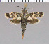 ( - yellow-78)  @13 [ ] Unspecified (default): All Rights Reserved  Unspecified Unspecified
