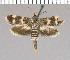  ( - yellow-79)  @13 [ ] Unspecified (default): All Rights Reserved  Unspecified Unspecified