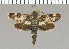 ( - yellow-80)  @13 [ ] Unspecified (default): All Rights Reserved  Unspecified Unspecified