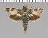  ( - yellow-81)  @11 [ ] Unspecified (default): All Rights Reserved  Unspecified Unspecified