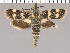  ( - yellow-82)  @11 [ ] Unspecified (default): All Rights Reserved  Unspecified Unspecified