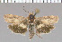  ( - yellow-83)  @13 [ ] Unspecified (default): All Rights Reserved  Unspecified Unspecified