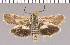  ( - yellow-84)  @11 [ ] Unspecified (default): All Rights Reserved  Unspecified Unspecified