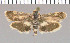  ( - yellow-85)  @11 [ ] Unspecified (default): All Rights Reserved  Unspecified Unspecified