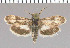  ( - yellow-86)  @11 [ ] Unspecified (default): All Rights Reserved  Unspecified Unspecified
