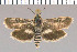  ( - yellow-87)  @11 [ ] Unspecified (default): All Rights Reserved  Unspecified Unspecified