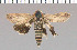  ( - yellow-88)  @11 [ ] Unspecified (default): All Rights Reserved  Unspecified Unspecified