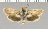  ( - yellow-89)  @11 [ ] Unspecified (default): All Rights Reserved  Unspecified Unspecified