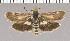  ( - yellow-90)  @11 [ ] Unspecified (default): All Rights Reserved  Unspecified Unspecified