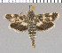  ( - yellow-91)  @11 [ ] Unspecified (default): All Rights Reserved  Unspecified Unspecified