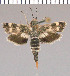  ( - yellow-92)  @11 [ ] Unspecified (default): All Rights Reserved  Unspecified Unspecified