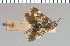  ( - yellow-93)  @11 [ ] Unspecified (default): All Rights Reserved  Unspecified Unspecified