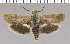  ( - yellow-94)  @11 [ ] Unspecified (default): All Rights Reserved  Unspecified Unspecified
