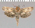  ( - yellow-95)  @12 [ ] Unspecified (default): All Rights Reserved  Unspecified Unspecified