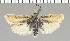 ( - yellow-96)  @14 [ ] Unspecified (default): All Rights Reserved  Unspecified Unspecified