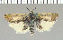  ( - yellow-97)  @11 [ ] Unspecified (default): All Rights Reserved  Unspecified Unspecified