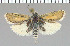  ( - yellow-98)  @11 [ ] Unspecified (default): All Rights Reserved  Unspecified Unspecified