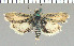  ( - yellow-99)  @11 [ ] Unspecified (default): All Rights Reserved  Unspecified Unspecified