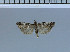  ( - B13-2011)  @13 [ ] Unspecified (default): All Rights Reserved  Unspecified Unspecified