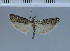  ( - C111-2011)  @12 [ ] Unspecified (default): All Rights Reserved  Unspecified Unspecified