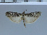  ( - C112-2011)  @12 [ ] Unspecified (default): All Rights Reserved  Unspecified Unspecified