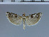  ( - C16-2011)  @13 [ ] Unspecified (default): All Rights Reserved  Unspecified Unspecified