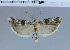  ( - C17-2011)  @13 [ ] Unspecified (default): All Rights Reserved  Unspecified Unspecified