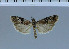  ( - D19-2011)  @13 [ ] Unspecified (default): All Rights Reserved  Unspecified Unspecified