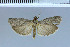  ( - E19-2011)  @11 [ ] Unspecified (default): All Rights Reserved  Unspecified Unspecified
