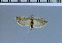  ( - F111-2011)  @12 [ ] Unspecified (default): All Rights Reserved  Unspecified Unspecified