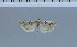  ( - F112-2011)  @11 [ ] Unspecified (default): All Rights Reserved  Unspecified Unspecified